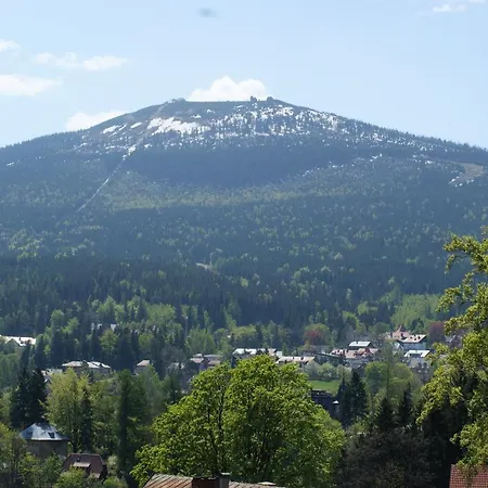 아파트호텔 Bosman