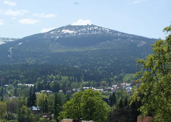 Hotel apartamentowy Bosman